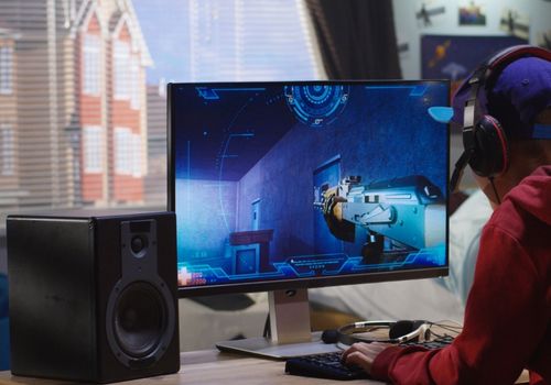 Young Man Playing Video Game Using a PC