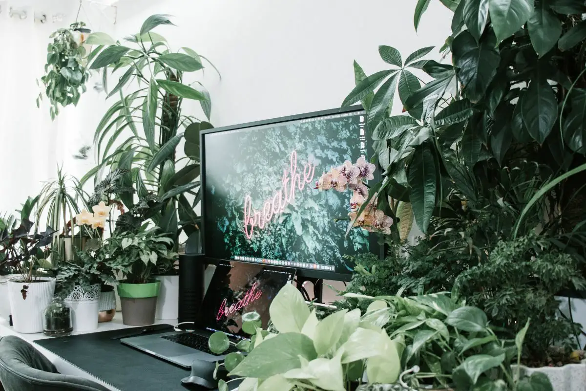 Eco-friendly Computer Room Setup