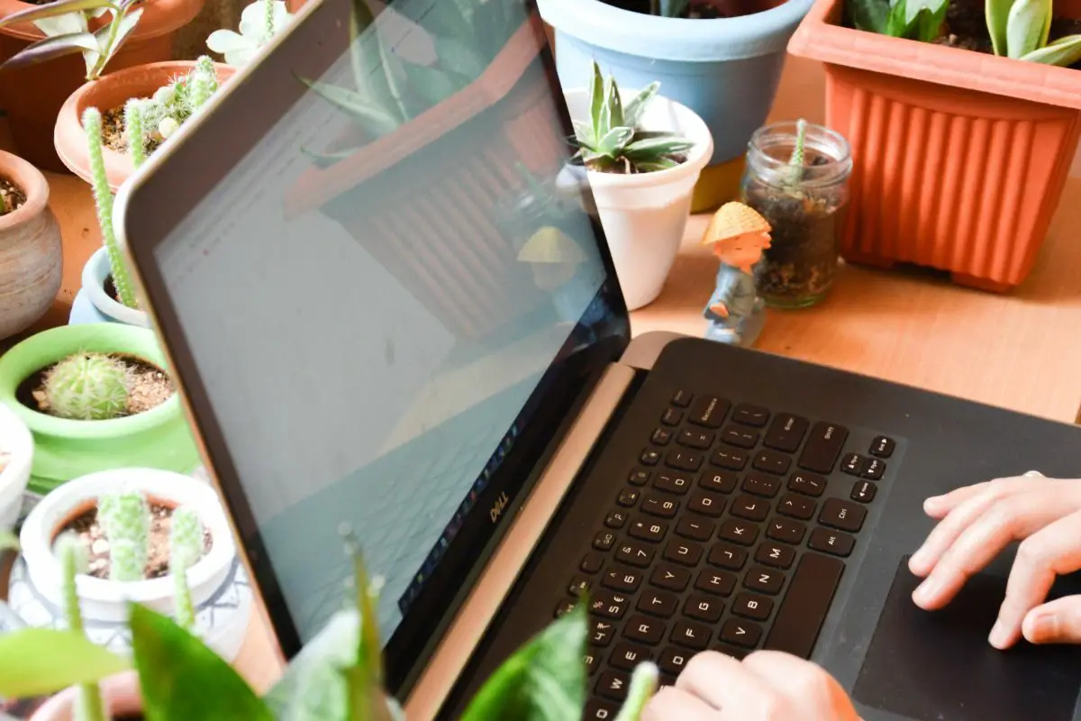 User with Laptop beside Plants and Pots