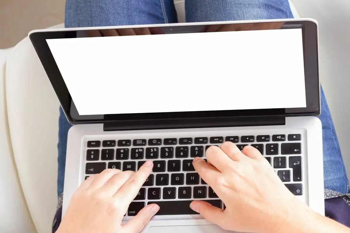 Person Sitting on the Chair and Using Laptop