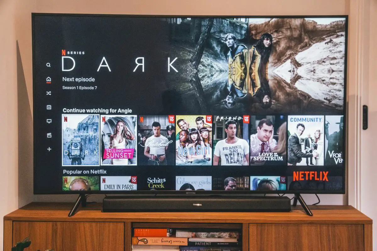 Netflix Streaming on the Smart TV